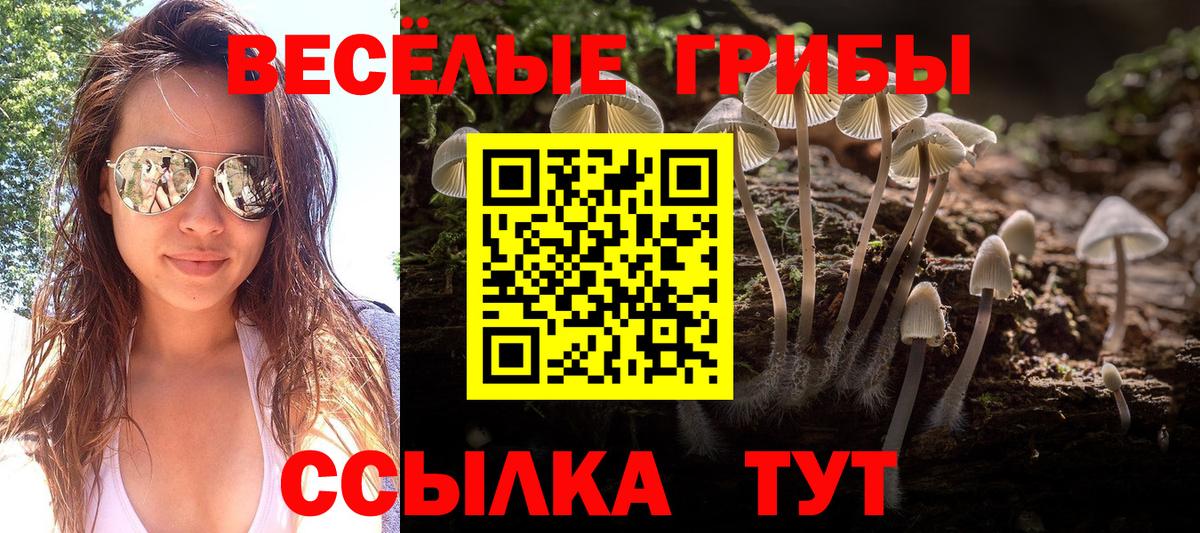 Солнечногорск  Галлюциногенные грибы мицелий  Вход с VPN  Галлюциногенные грибы прущие грибы 